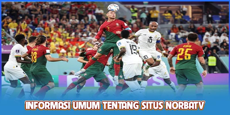 Informasi umum tentang situs NobarTV