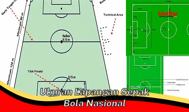 Ukuran Bola Sepak Bola