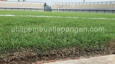 Lapangan Sepakbola Ruang dan Makna di Dalamnya