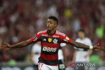 Klasemen Flamengo Menuju Kesuksesan