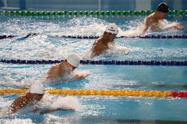 Breast stroke disebut juga renang gaya